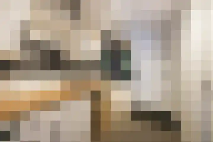 Mellum 22 Zaandam thumbnail 26