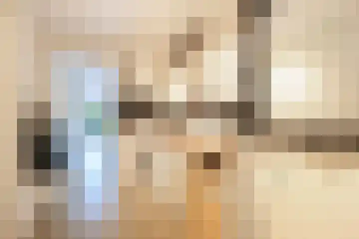 Mellum 22 Zaandam thumbnail 27