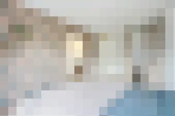 Mellum 22 Zaandam thumbnail 31
