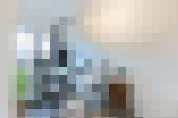 Mellum 22 Zaandam thumbnail 32