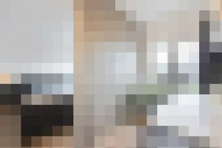 Mellum 22 Zaandam thumbnail 33