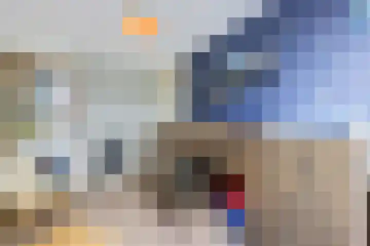 Mellum 22 Zaandam thumbnail 36