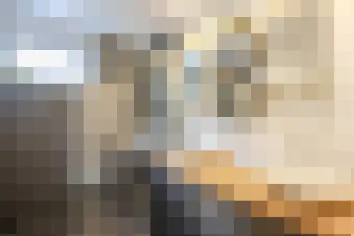 Mellum 22 Zaandam thumbnail 38