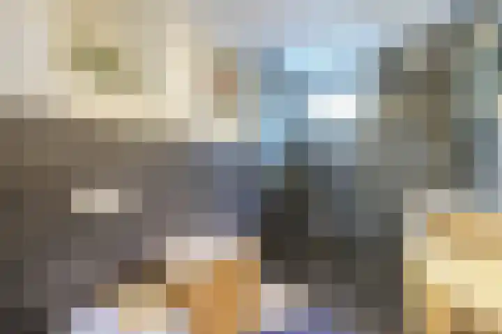 Mellum 22 Zaandam thumbnail 41