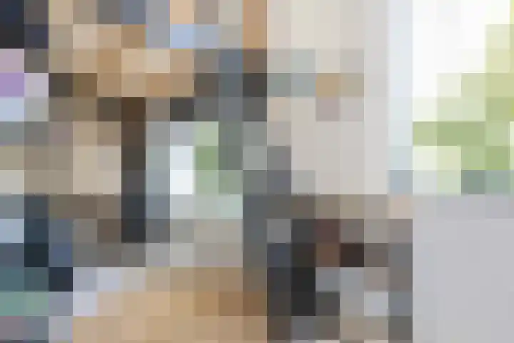Mellum 22 Zaandam thumbnail 48