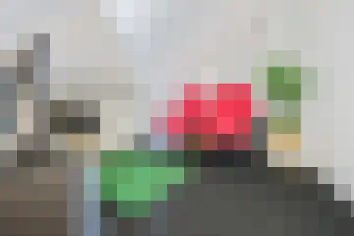 Mellum 22 Zaandam thumbnail 50