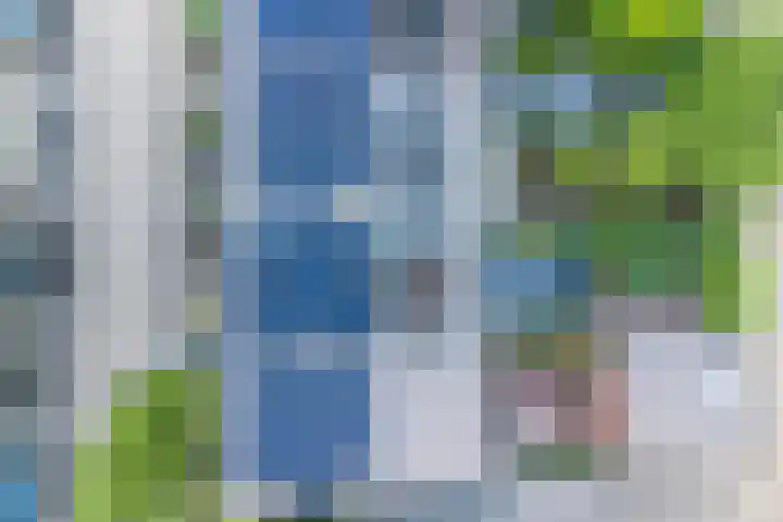 Mellum 22 Zaandam thumbnail 51