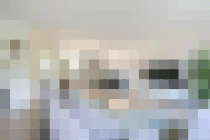 Mellum 22 Zaandam thumbnail 6