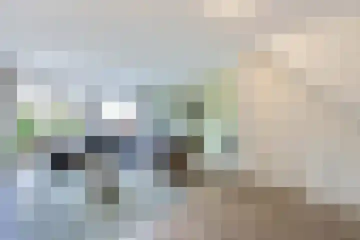 Mellum 22 Zaandam thumbnail 8