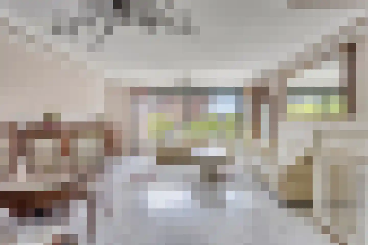 Mellum 56 Zaandam thumbnail 10
