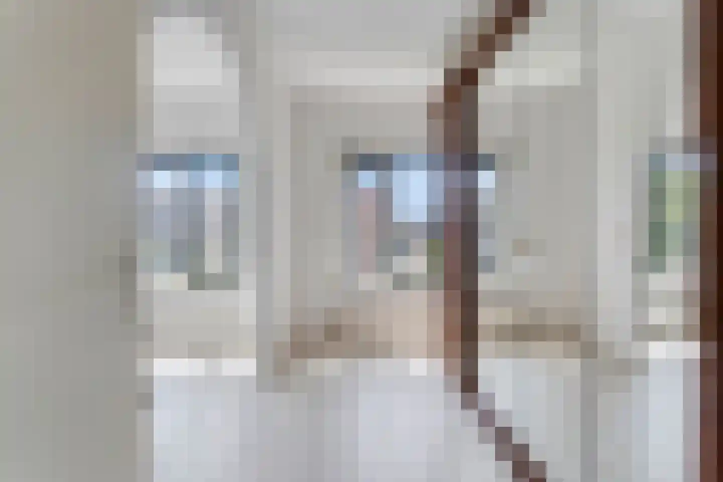 Mellum 56 Zaandam thumbnail 18