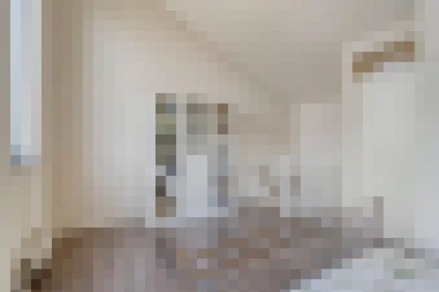 Mellum 56 Zaandam thumbnail 25