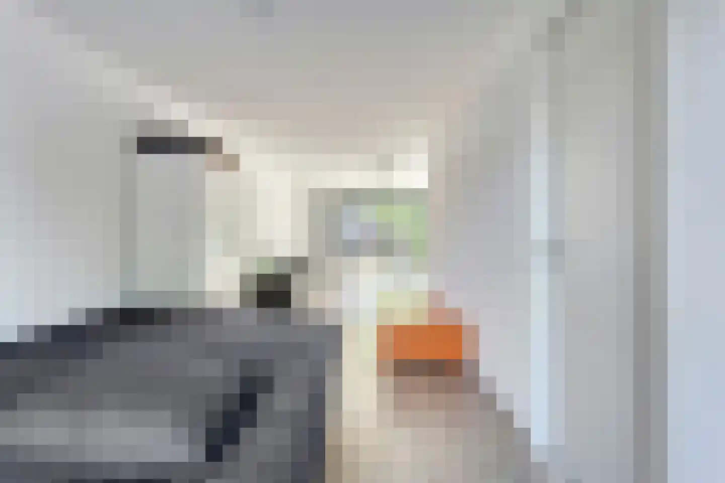 Mellum 56 Zaandam thumbnail 30