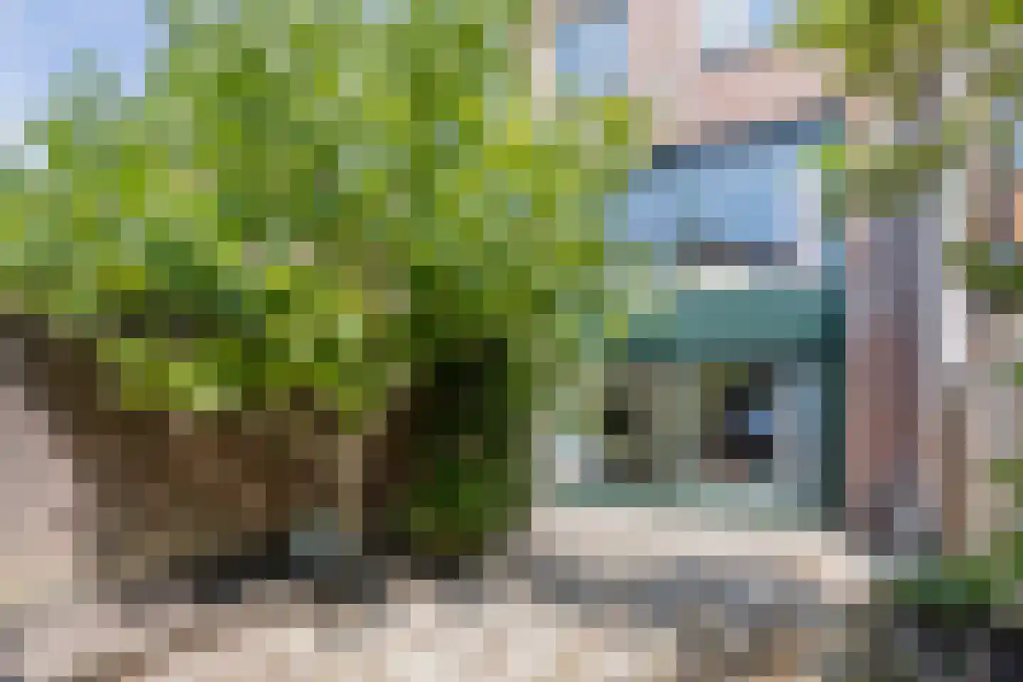 Mellum 56 Zaandam thumbnail 7