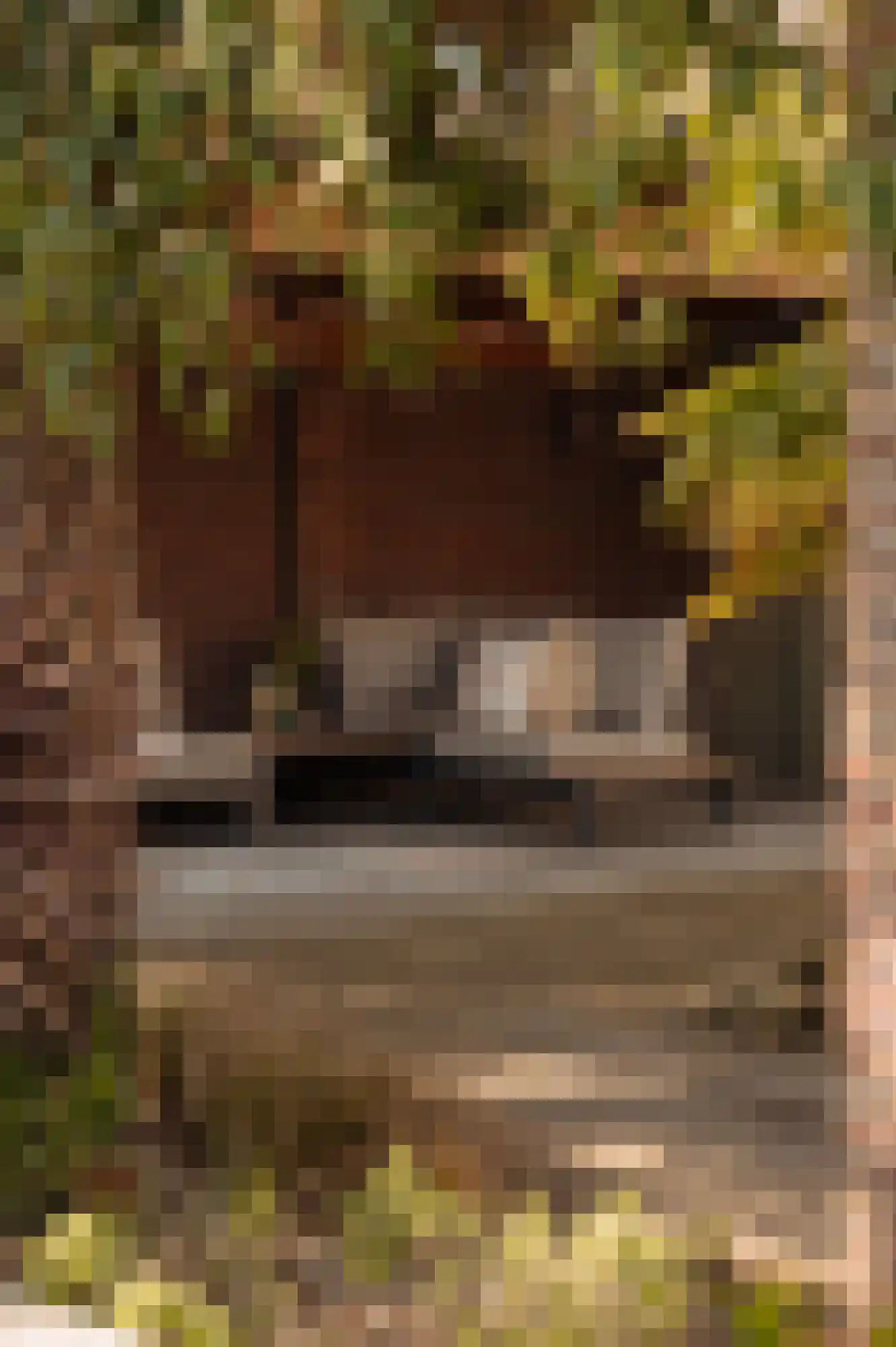 Melmansdam 10 Warmond thumbnail 31
