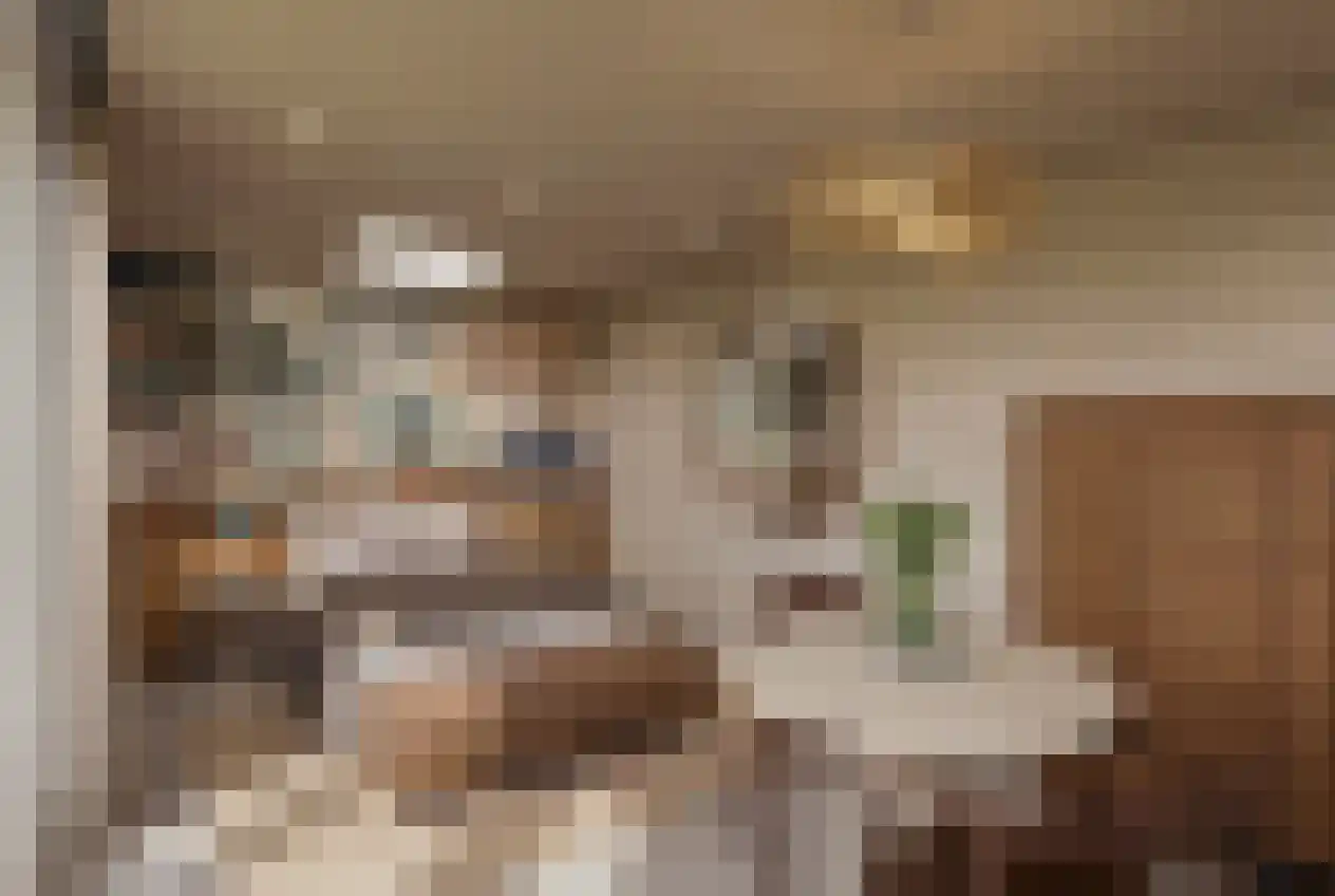 Melmansdam 10 Warmond thumbnail 34