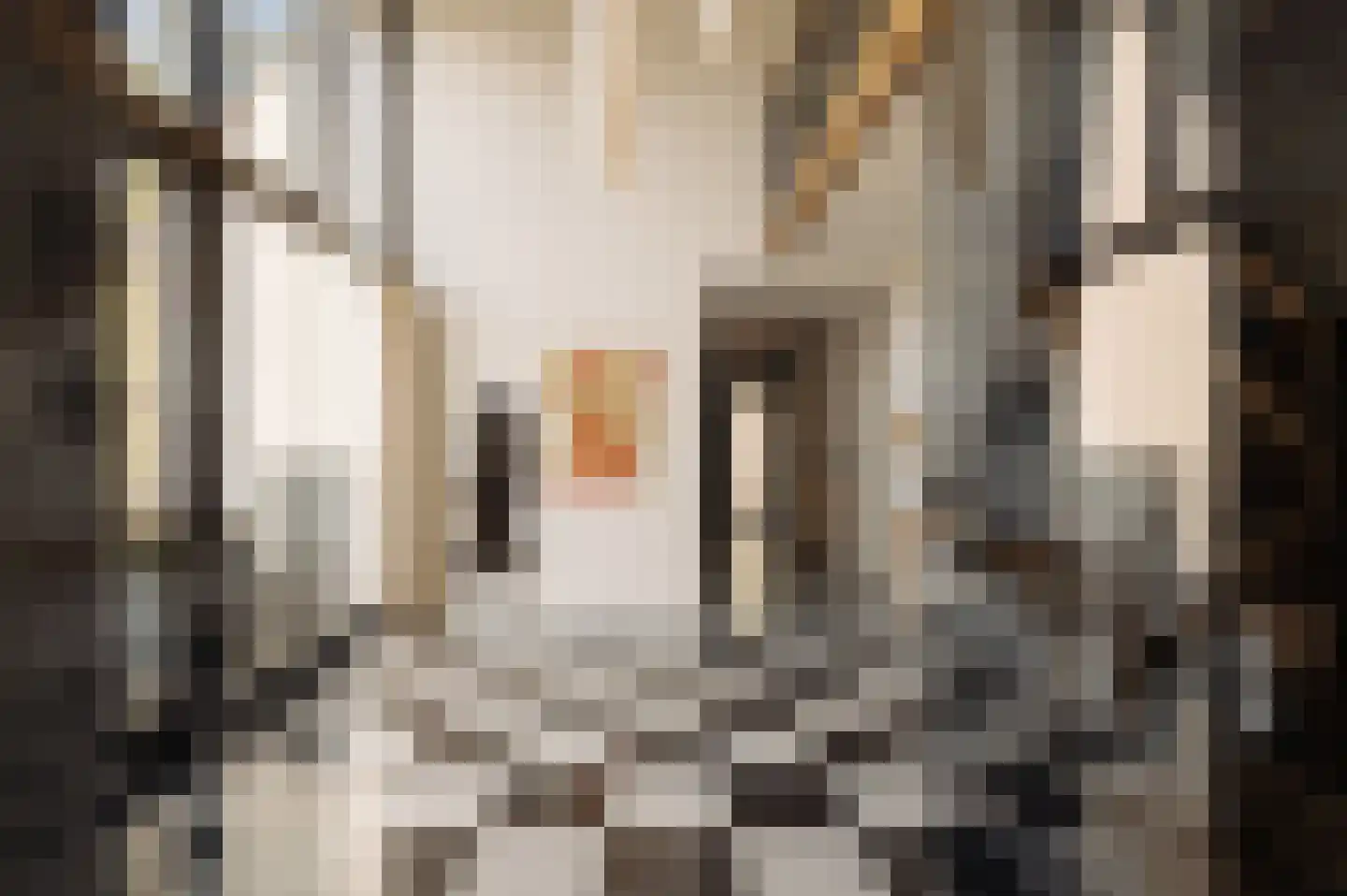 Melmansdam 10 Warmond thumbnail 38