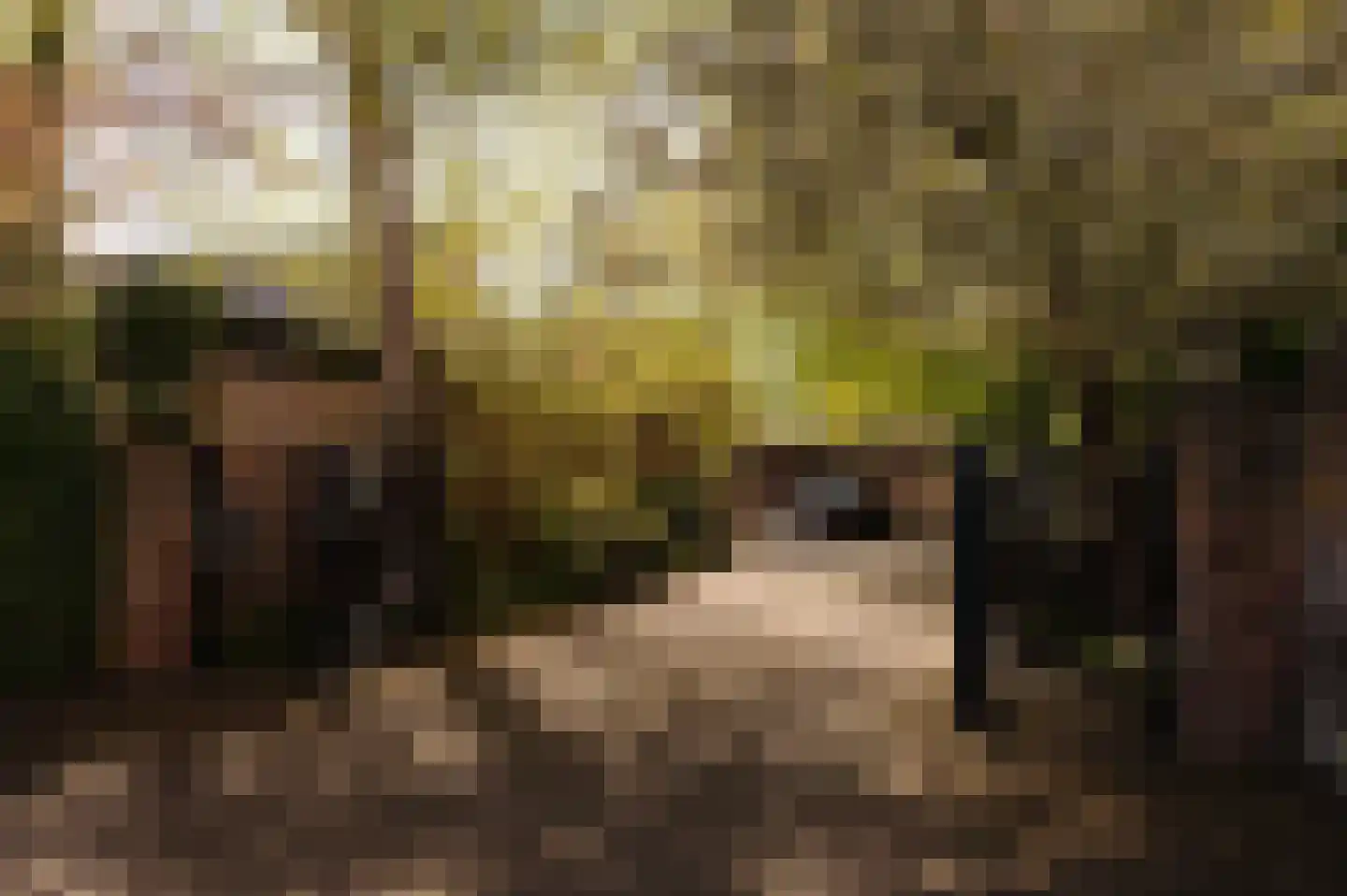Melmansdam 10 Warmond thumbnail 5