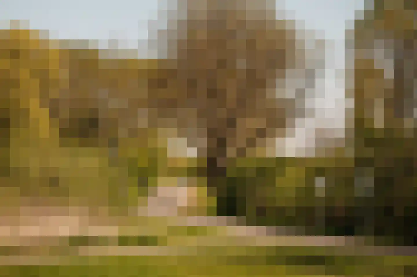 Melmansdam 10 Warmond thumbnail 61
