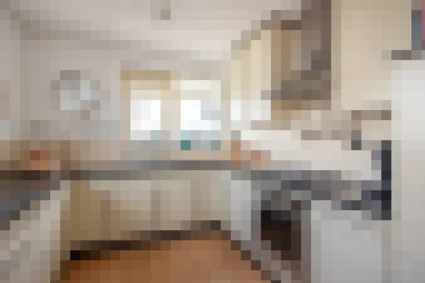 Meloengeel 1 Zoetermeer thumbnail 14