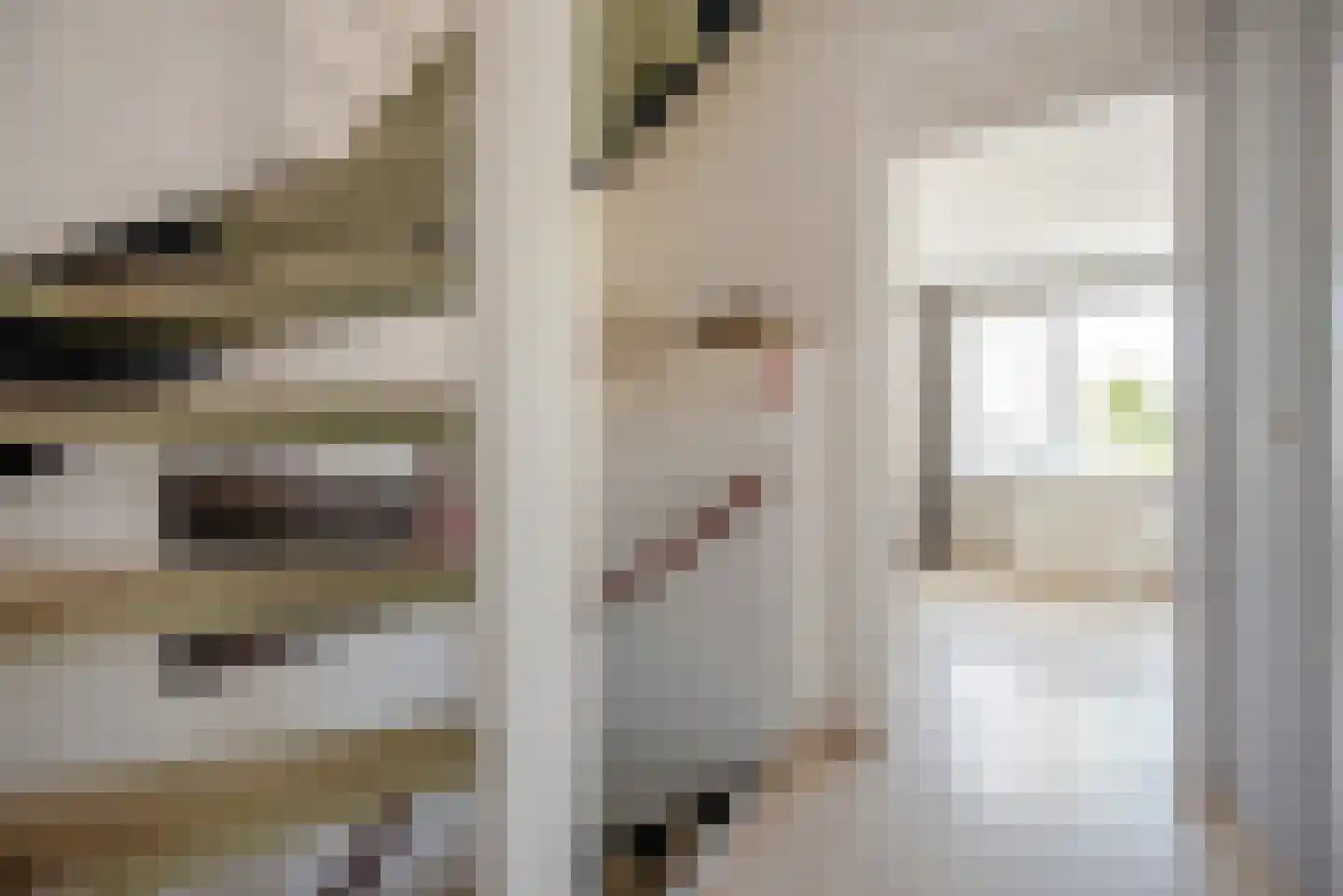 Meloengeel 1 Zoetermeer thumbnail 17