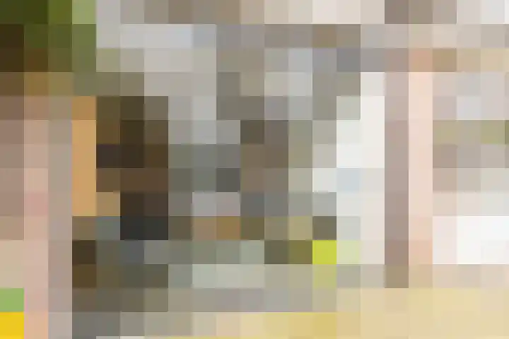 Meloengeel 1 Zoetermeer thumbnail 20