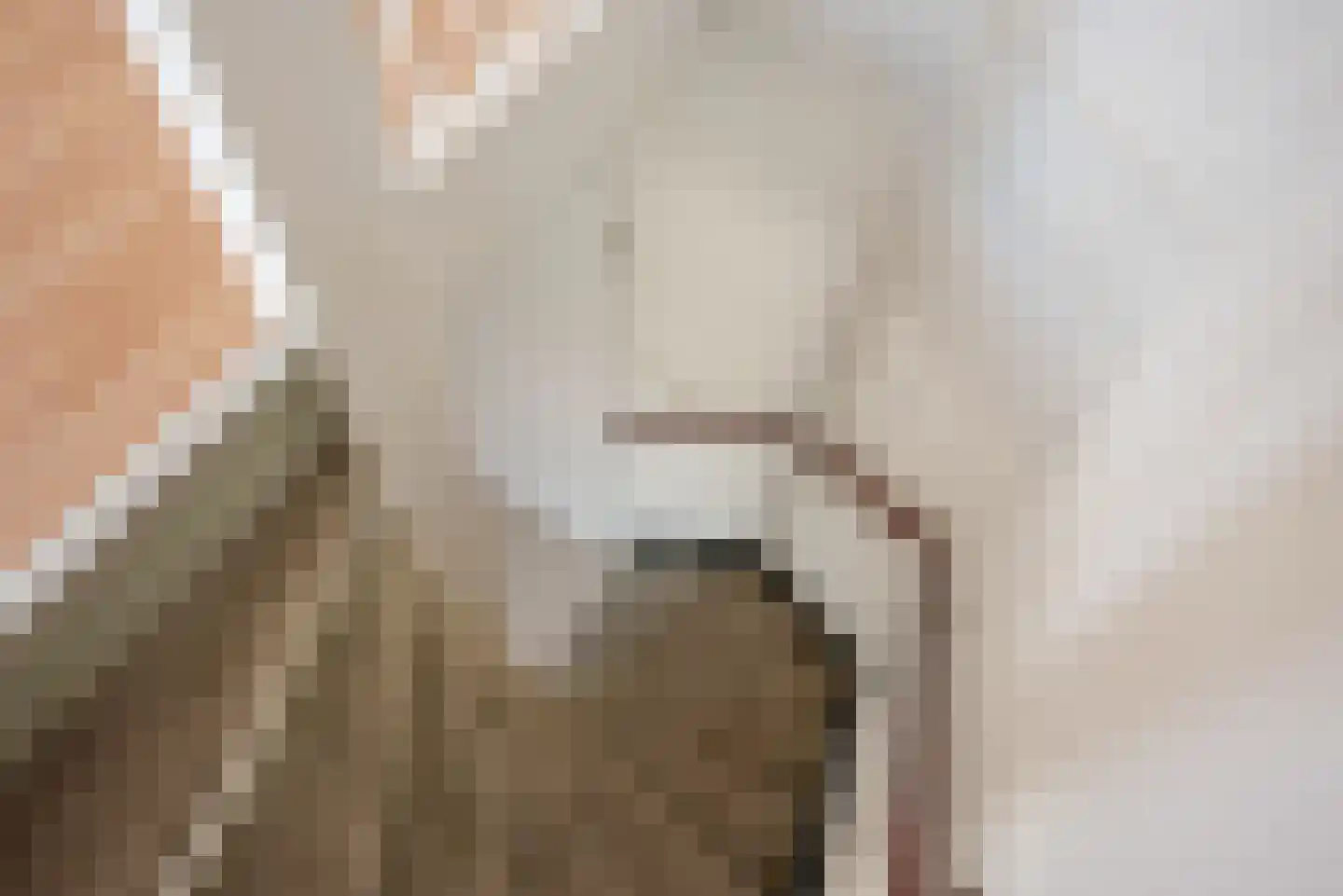 Meloengeel 1 Zoetermeer thumbnail 23
