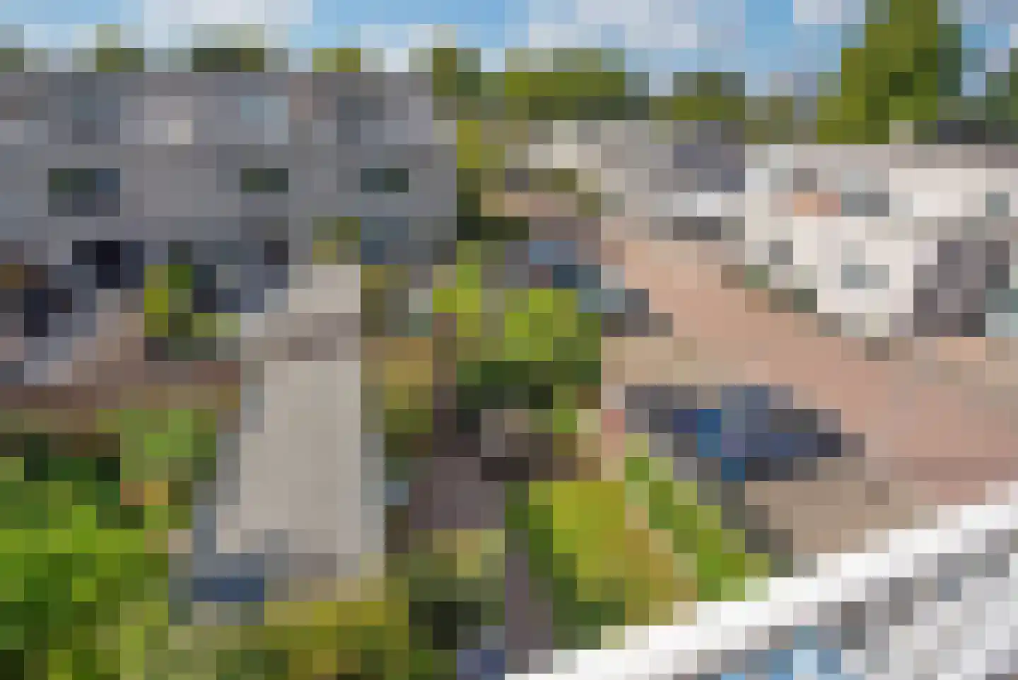 Meloengeel 1 Zoetermeer thumbnail 26
