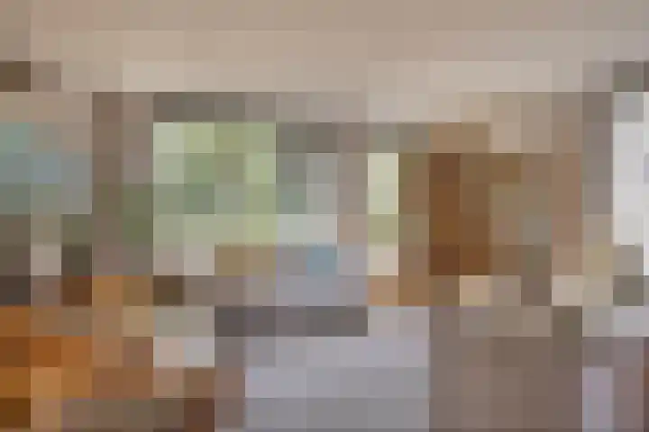 Meloengeel 1 Zoetermeer thumbnail 27