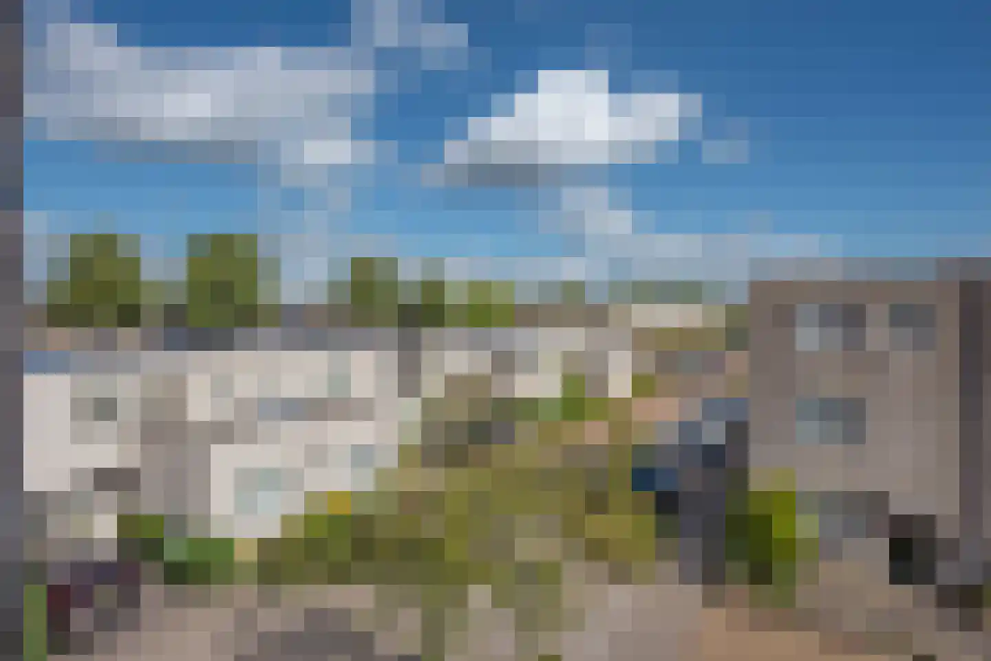 Meloengeel 1 Zoetermeer thumbnail 29