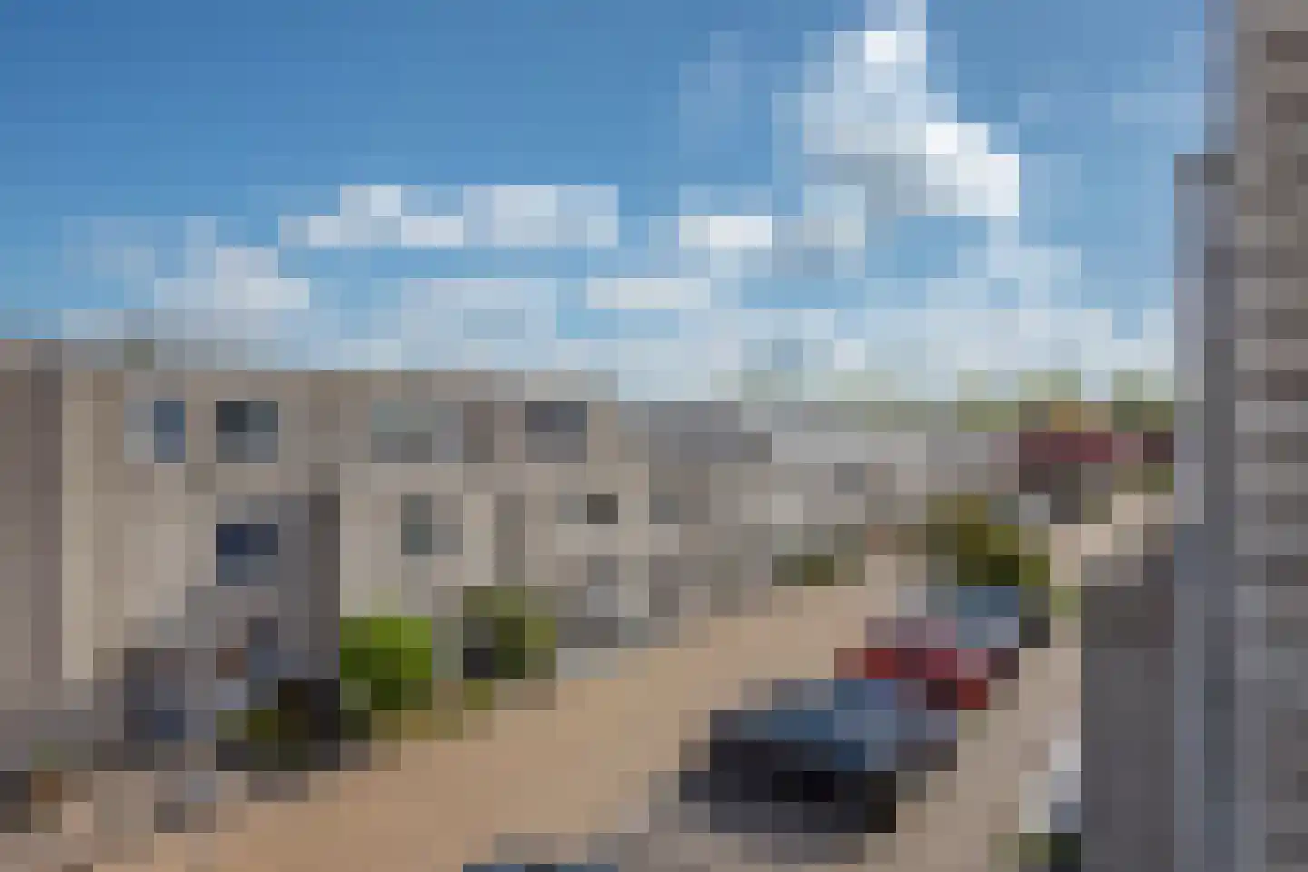 Meloengeel 1 Zoetermeer thumbnail 30