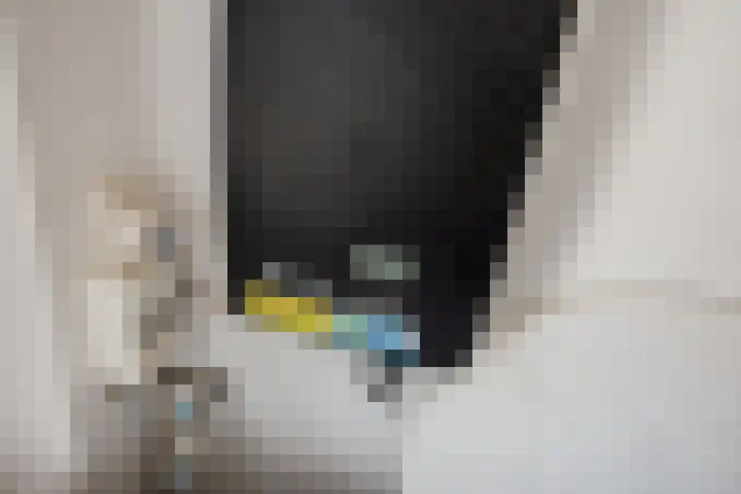 Meloengeel 1 Zoetermeer thumbnail 32