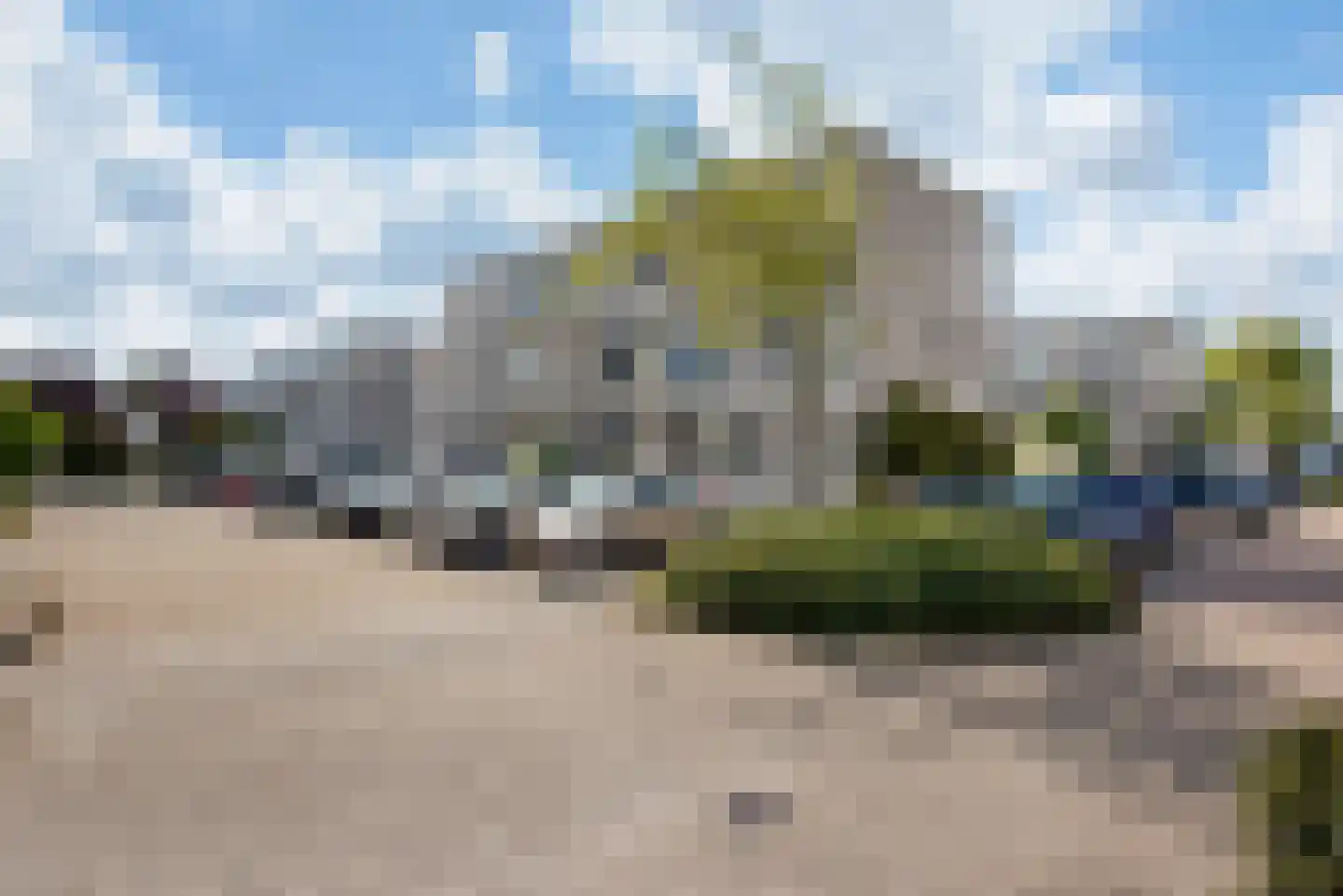 Meloengeel 1 Zoetermeer thumbnail 33