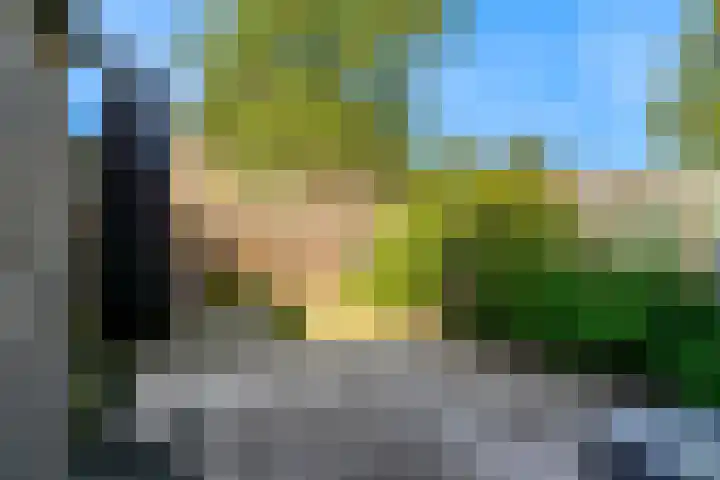 Meloengeel 1 Zoetermeer thumbnail 7
