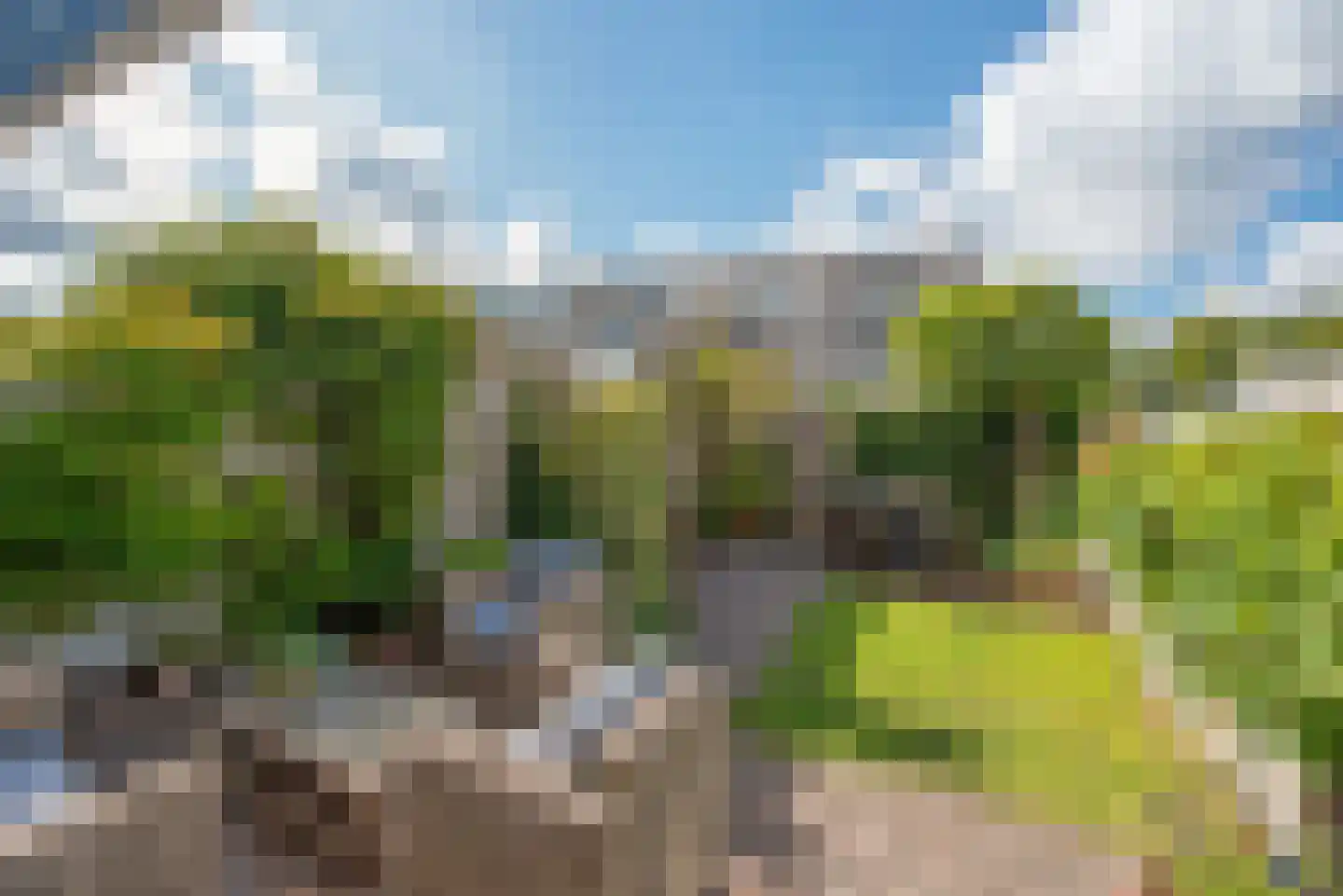 Meloengeel 1 Zoetermeer thumbnail 8