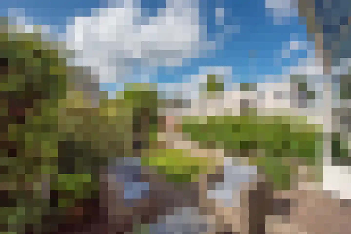 Meloengeel 1 Zoetermeer thumbnail 9