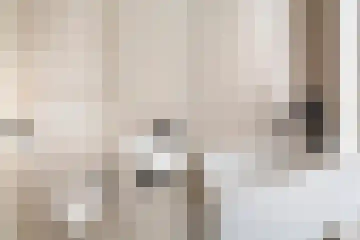 Meloengeel 13 Zoetermeer thumbnail 10