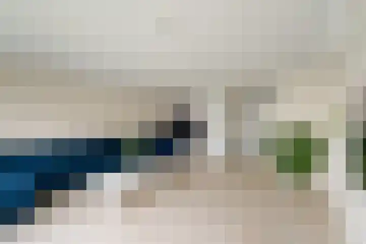 Meloengeel 13 Zoetermeer thumbnail 14