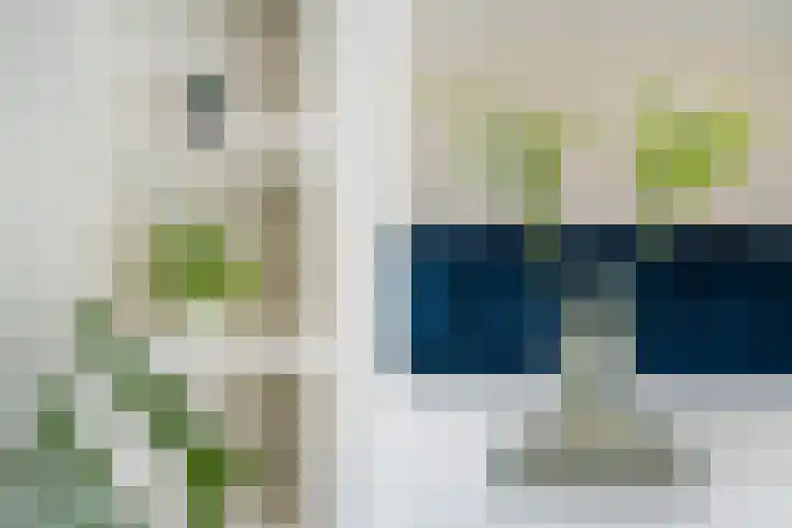 Meloengeel 13 Zoetermeer thumbnail 15