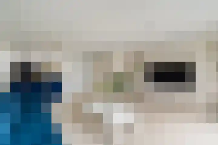 Meloengeel 13 Zoetermeer thumbnail 16
