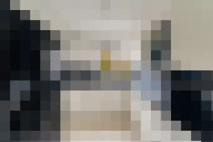 Meloengeel 13 Zoetermeer thumbnail 18