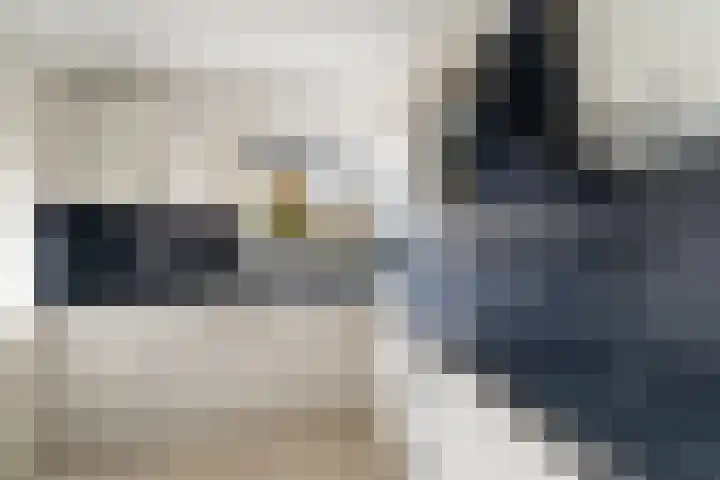 Meloengeel 13 Zoetermeer thumbnail 19