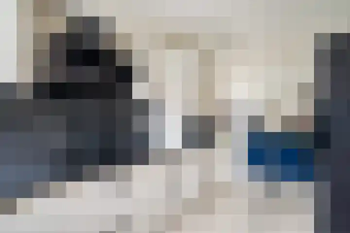 Meloengeel 13 Zoetermeer thumbnail 20
