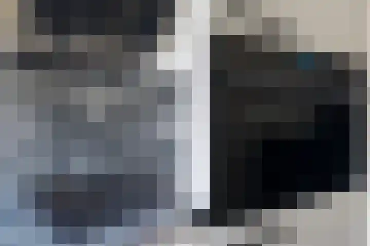 Meloengeel 13 Zoetermeer thumbnail 21