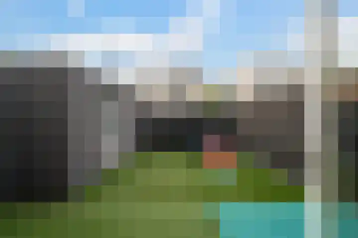 Meloengeel 13 Zoetermeer thumbnail 22