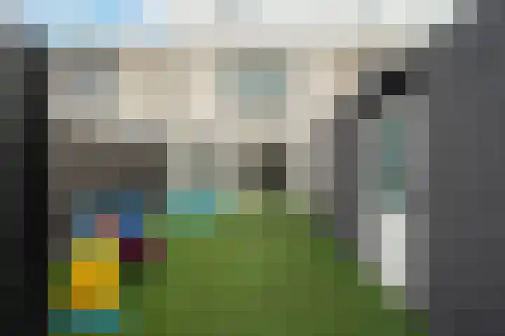 Meloengeel 13 Zoetermeer thumbnail 25