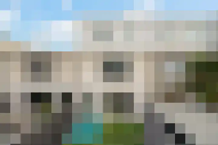 Meloengeel 13 Zoetermeer thumbnail 26