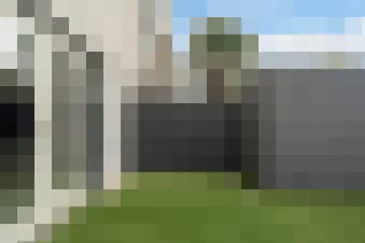 Meloengeel 13 Zoetermeer thumbnail 27