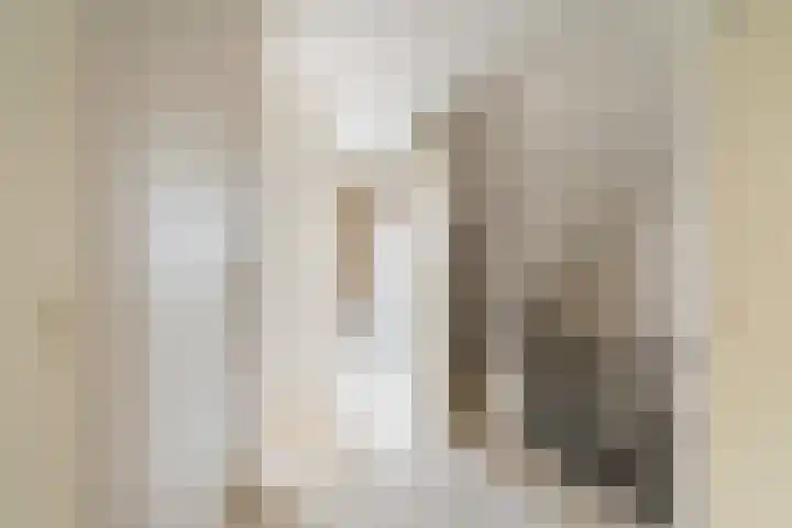 Meloengeel 13 Zoetermeer thumbnail 28