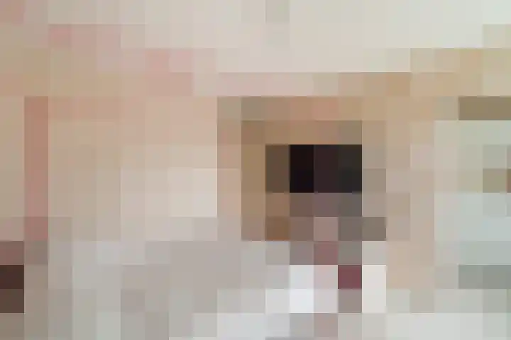 Meloengeel 13 Zoetermeer thumbnail 31